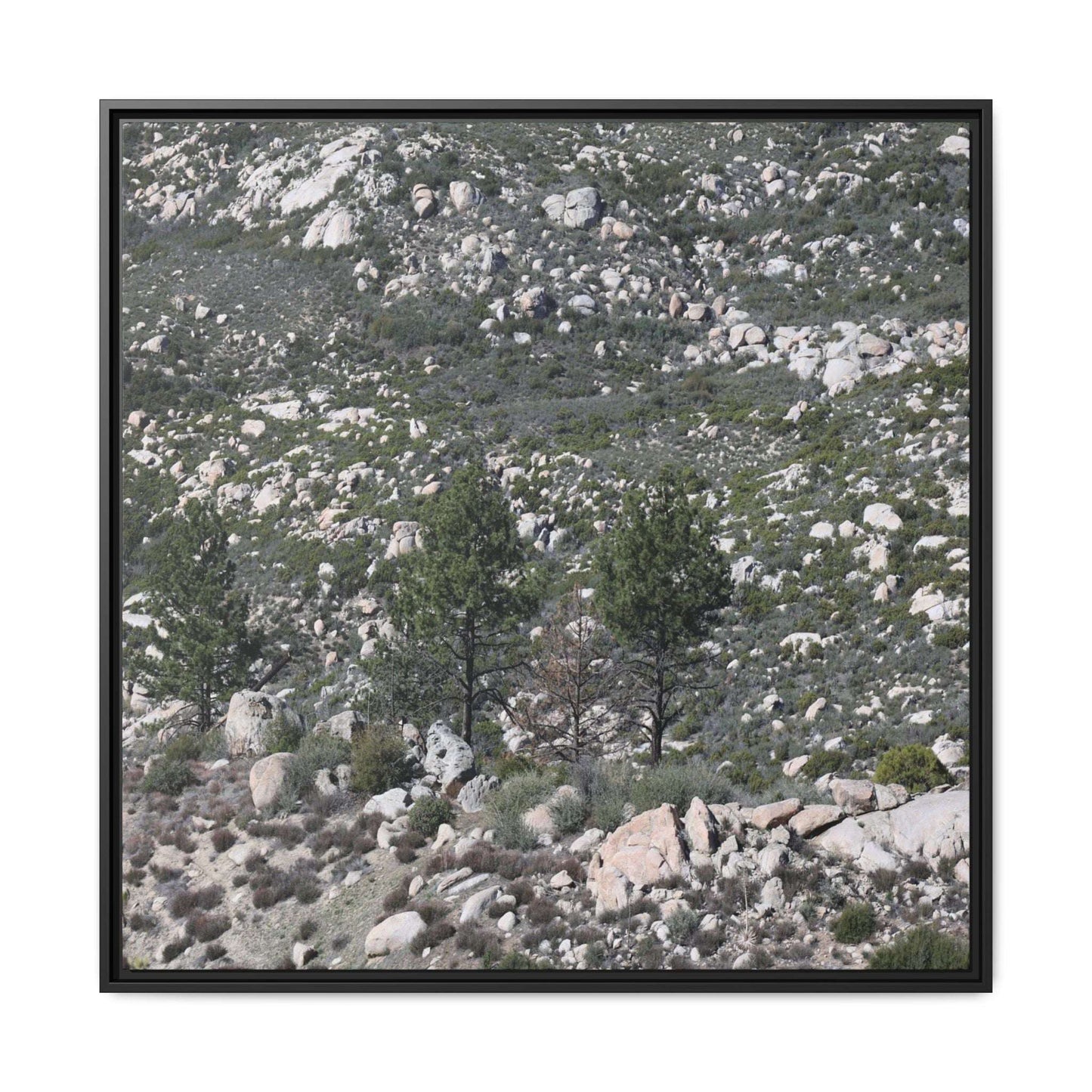 Rocky Hillside with Pine Trees - Unique Stretched Canvas Wall Art - Art By Earth