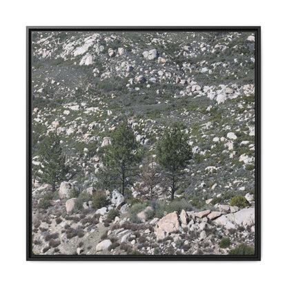 Rocky Hillside with Pine Trees - Unique Stretched Canvas Wall Art - Art By Earth