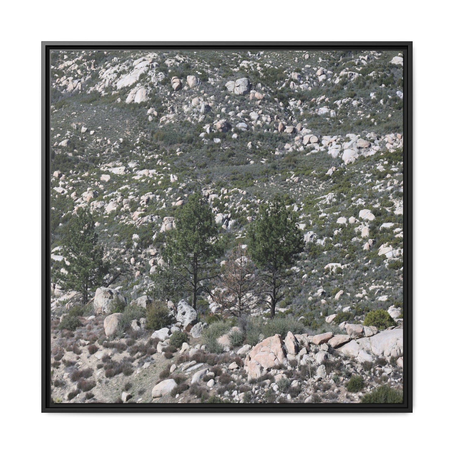 Rocky Hillside with Pine Trees - Unique Stretched Canvas Wall Art - Art By Earth