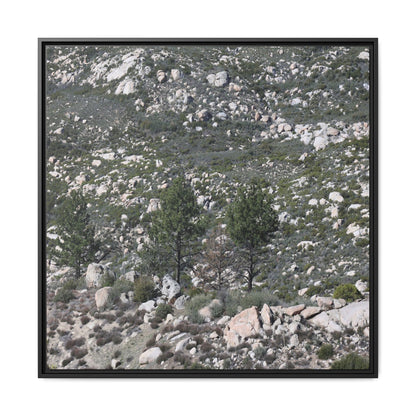 Rocky Hillside with Pine Trees - Unique Stretched Canvas Wall Art - Art By Earth