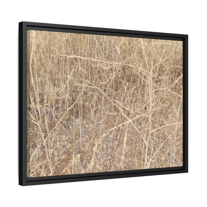 Golden Stalks - Unique Stretched Canvas Wall Art - Art By Earth