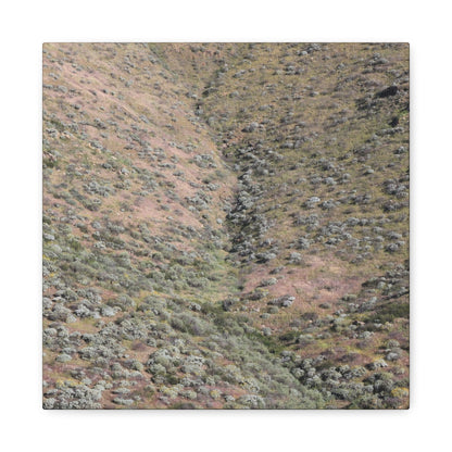 Desert Hillside - Unique Frameless Canvas Wall Art - Art By Earth