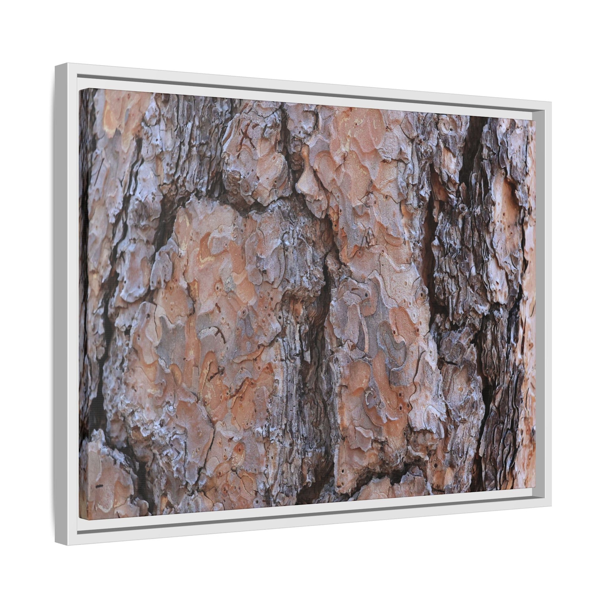 Tree Skin Symphony - Unique Stretched Canvas Wall Art - Art By Earth