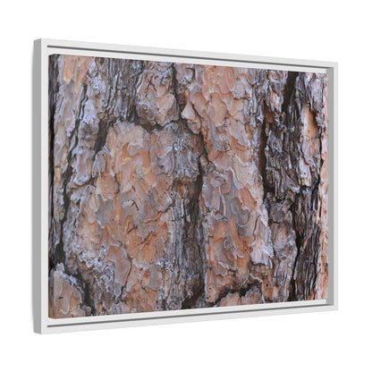 Tree Skin Symphony - Unique Stretched Canvas Wall Art - Art By Earth