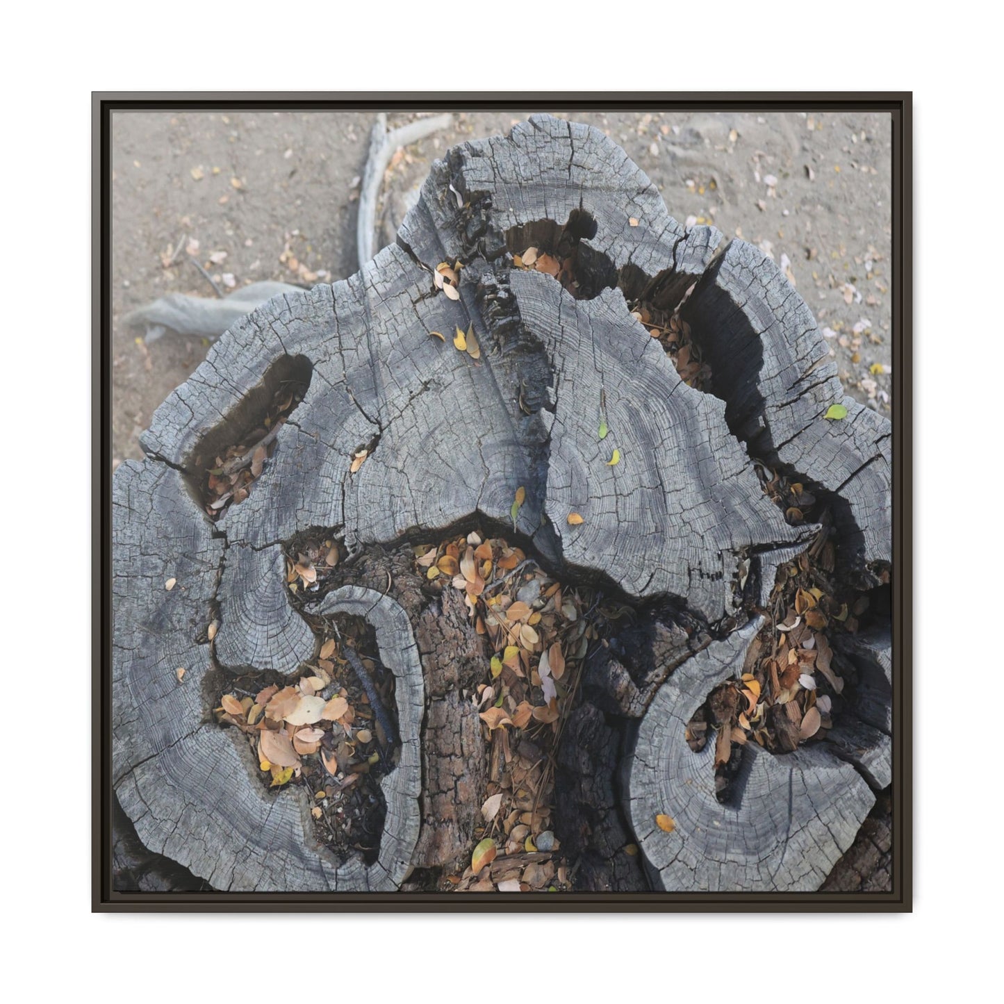 Time's Fractal Memory - Unique Stretched Canvas Wall Art - Art By Earth