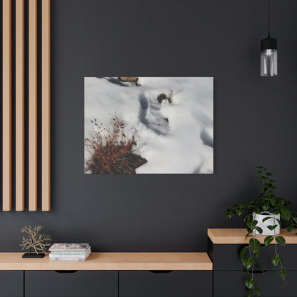 Snow's Tender Embrace - Unique Frameless Canvas Wall Art
