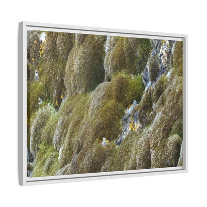 Moss Symphony - Unique Stretched Canvas Wall Art