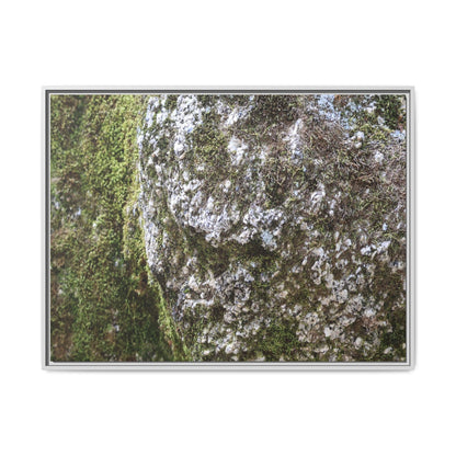 Lichen Landscape - Unique Stretched Canvas Wall Art - Art By Earth