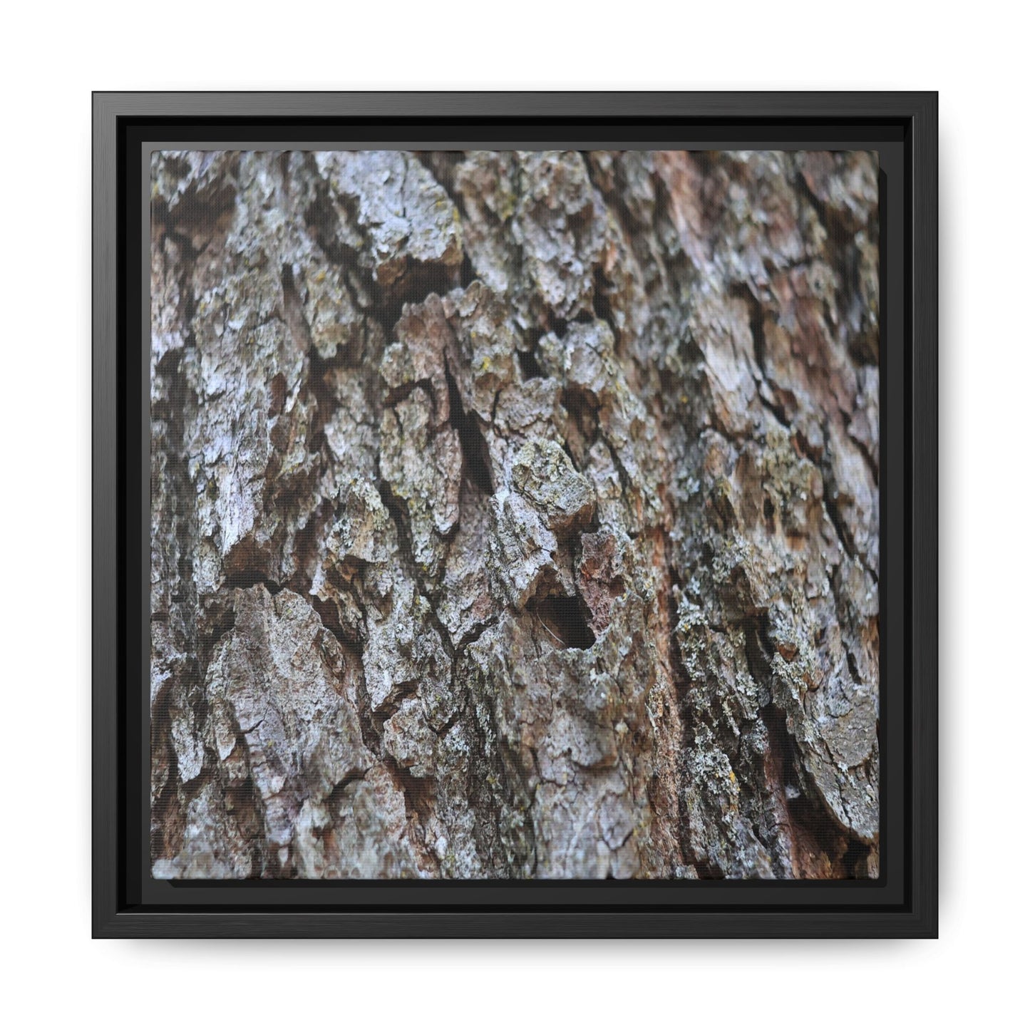 Woodland Canvas - Unique Stretched Canvas Wall Art - Art By Earth