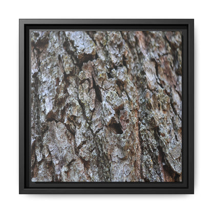 Woodland Canvas - Unique Stretched Canvas Wall Art - Art By Earth
