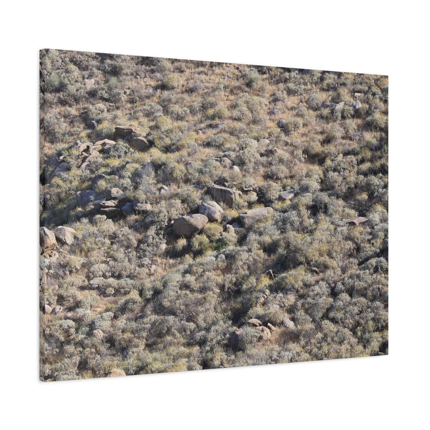Desert Landscape with Scattered Rocks and Sage - Unique Frameless Canvas Wall Art - Art By Earth