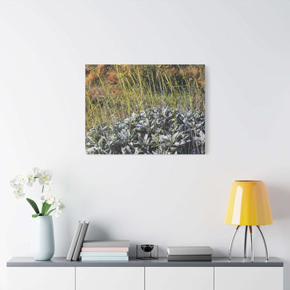 Desert Wildflowers in Bloom - Unique Frameless Canvas Wall Art - Art By Earth
