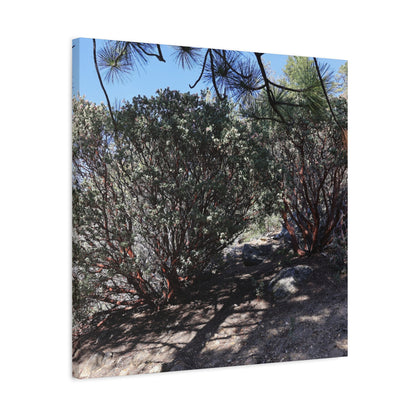 Desert Blooms - Unique Frameless Canvas Wall Art