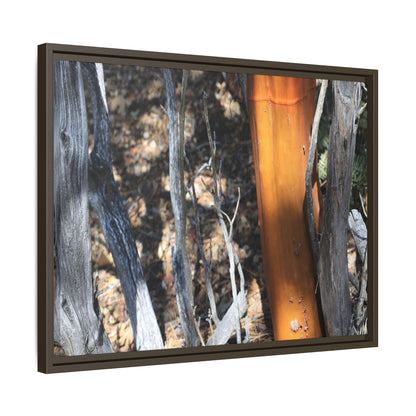 Burnt Trees and Golden Trunk - Unique Stretched Canvas Wall Art