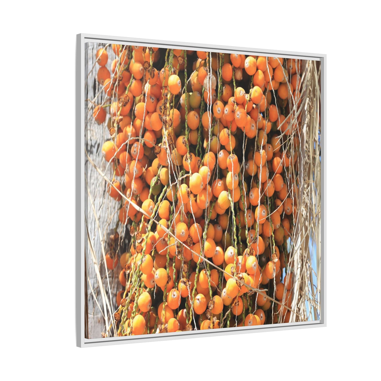 Clusters of Sunlight - Unique Canvas Wall Art - Art By Earth