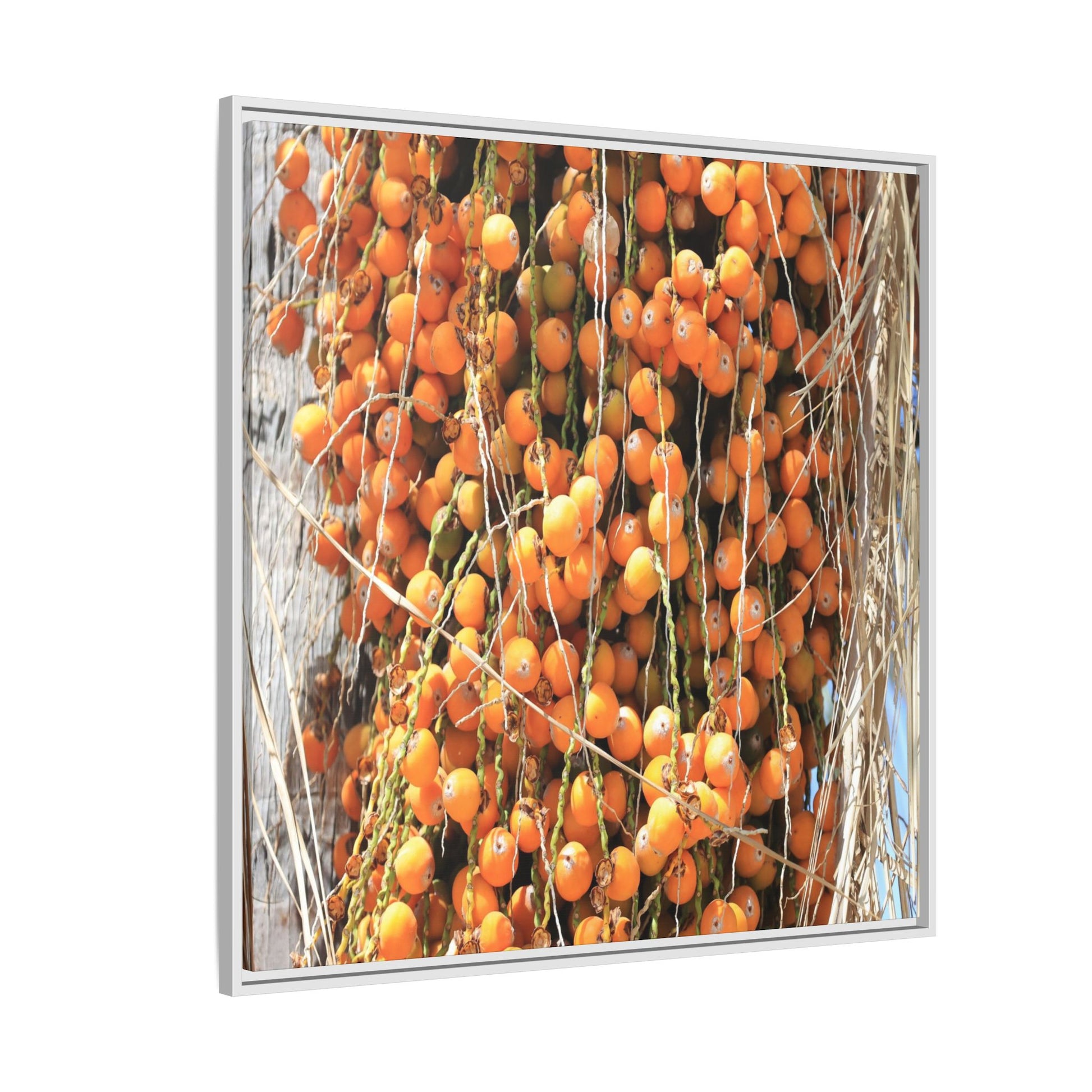 Clusters of Sunlight - Unique Canvas Wall Art - Art By Earth