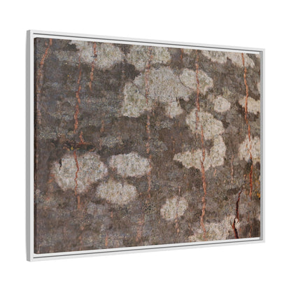 Lichen's Legacy - Unique Stretched Canvas Wall Art - Art By Earth
