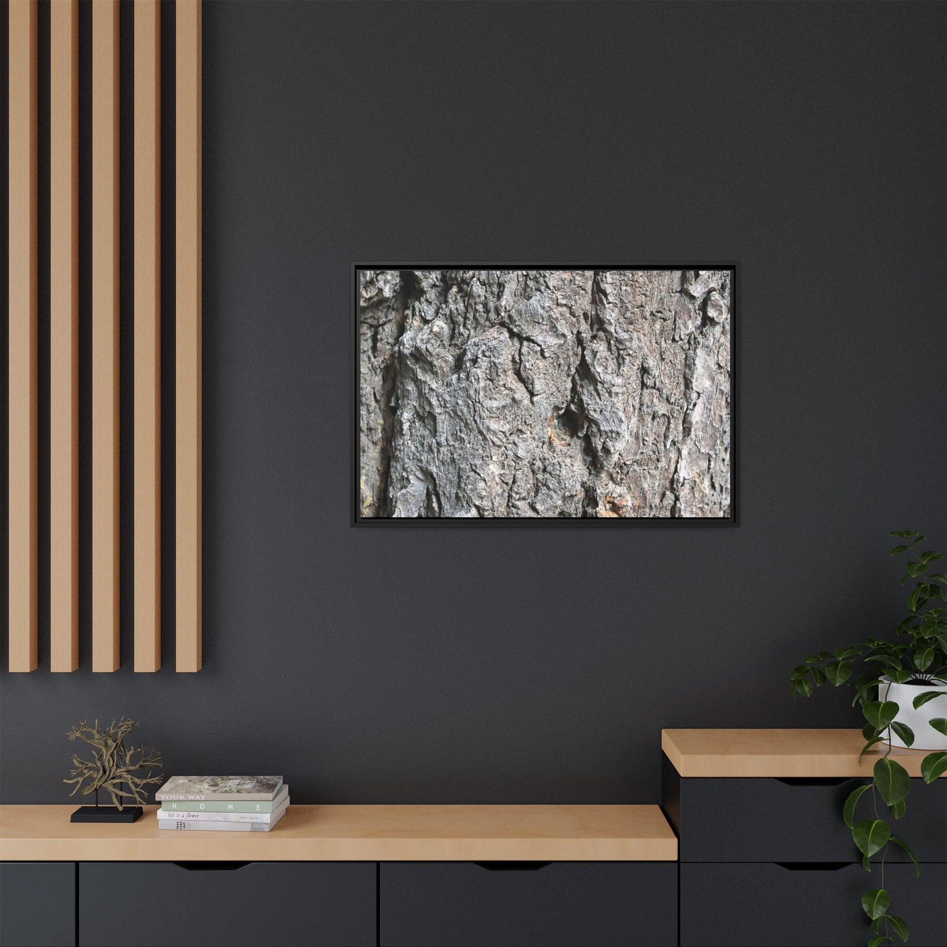 Crusty Exterior - Unique Stretched Canvas Wall Art - Art By Earth