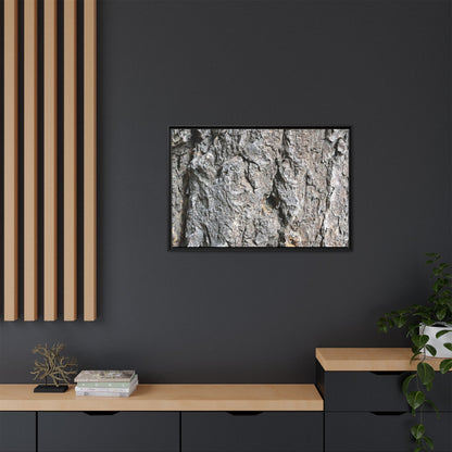 Crusty Exterior - Unique Stretched Canvas Wall Art - Art By Earth