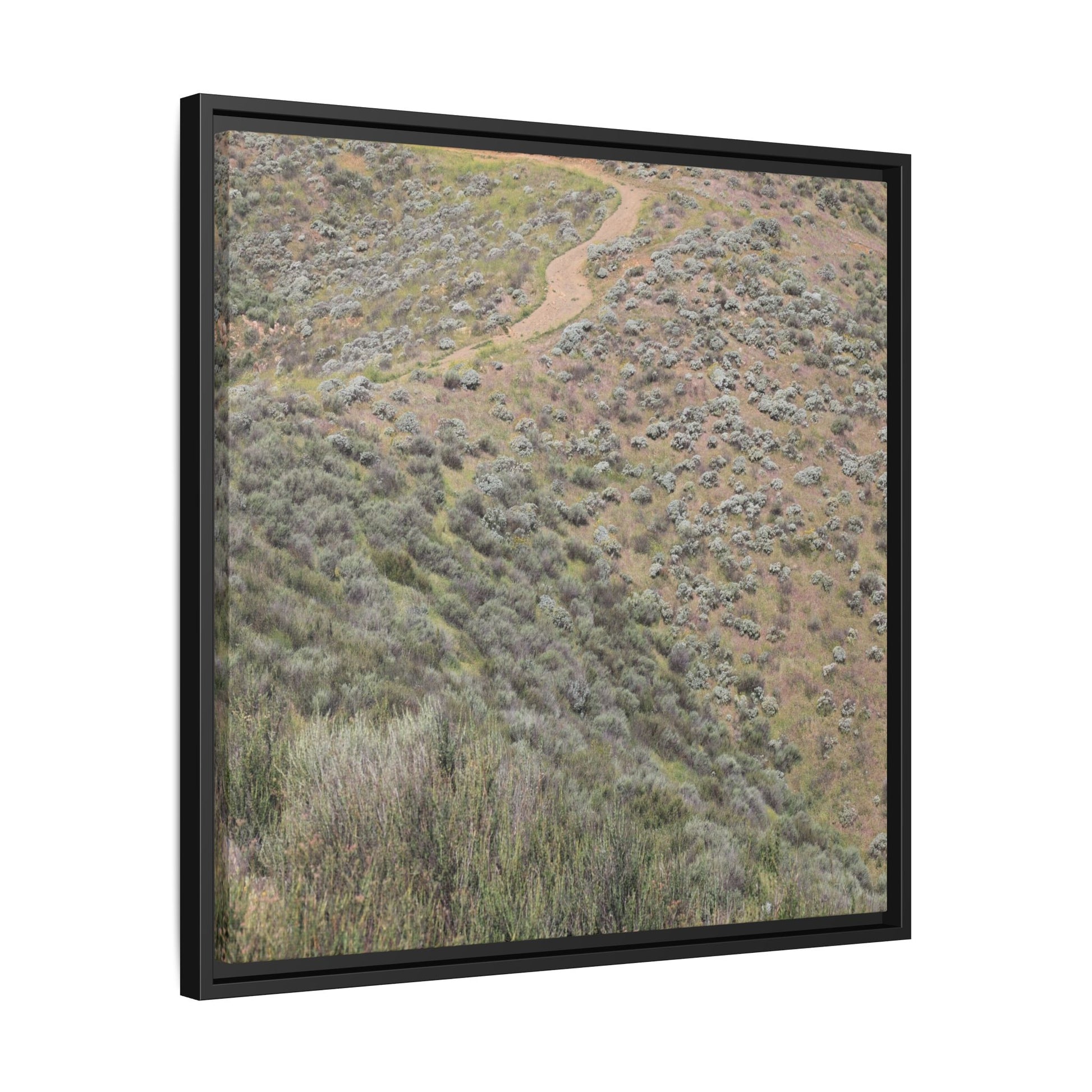 Arid Landscape with Winding Path - Unique Stretched Canvas Wall Art - Art By Earth