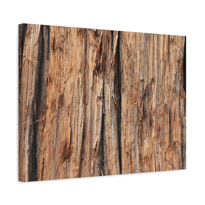 Woodland Echoes - Unique Frameless Canvas Wall Art - Art By Earth