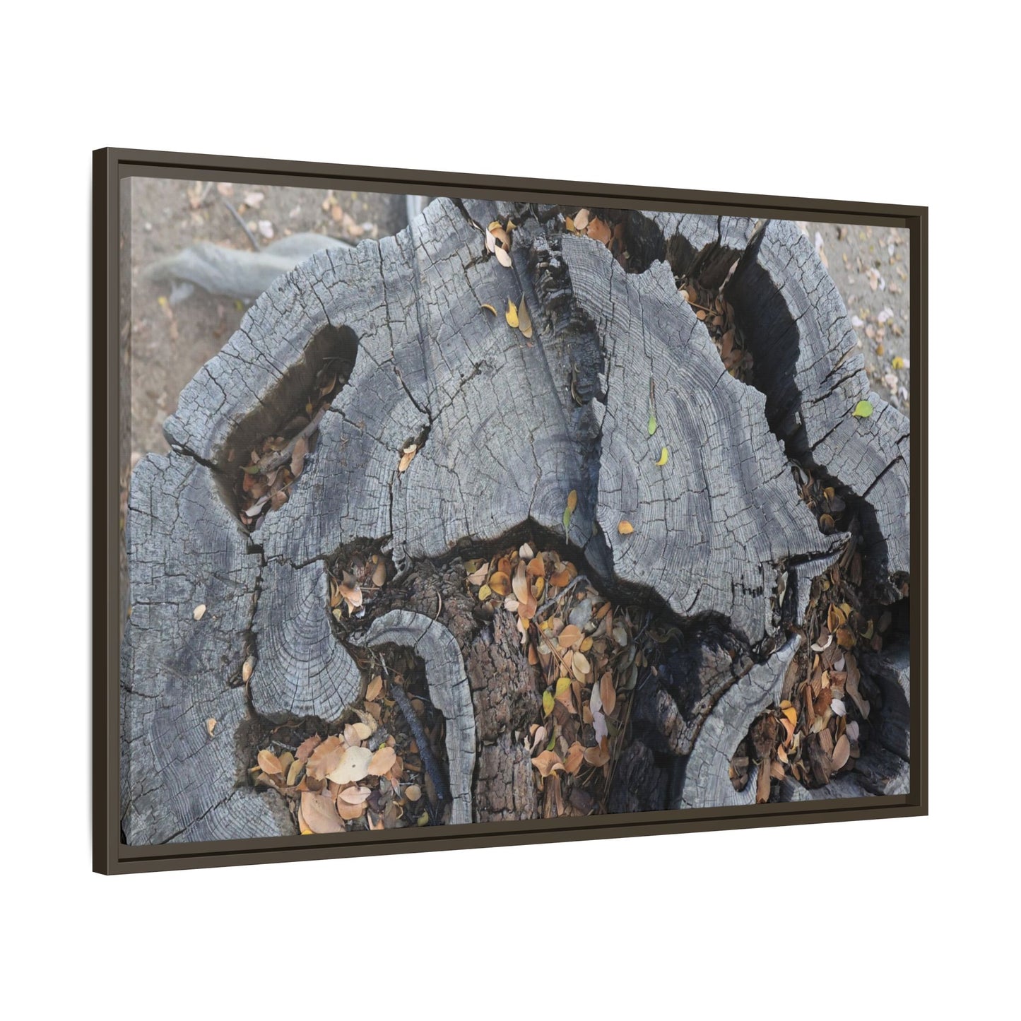 Time's Fractal Memory - Unique Stretched Canvas Wall Art - Art By Earth