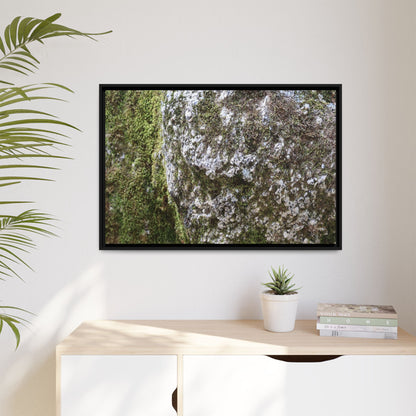 Lichen Landscape - Unique Stretched Canvas Wall Art - Art By Earth