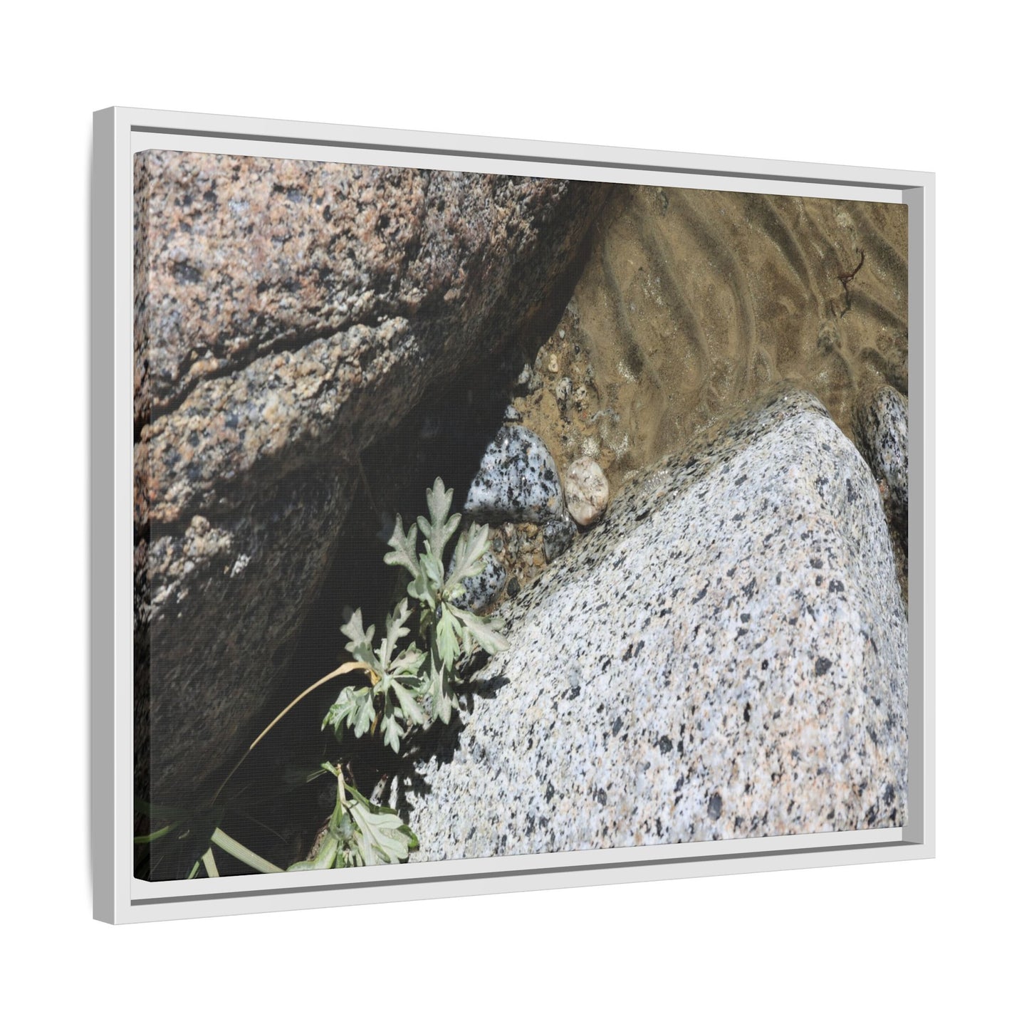 Resilience in Stone - Unique Stretched Canvas Wall Art - Art By Earth