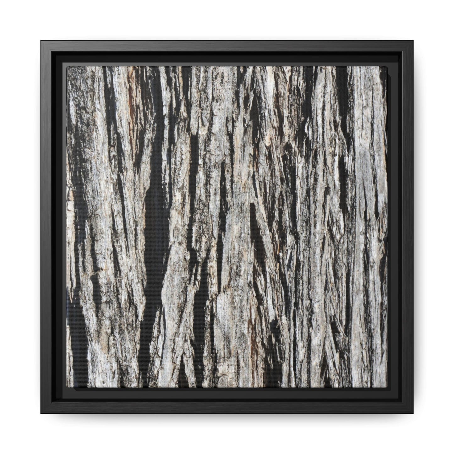 Nature's Abstract - Unique Stretched Canvas Wall Art - Art By Earth