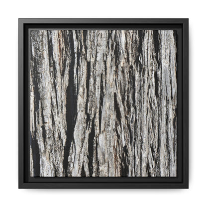 Nature's Abstract - Unique Stretched Canvas Wall Art - Art By Earth
