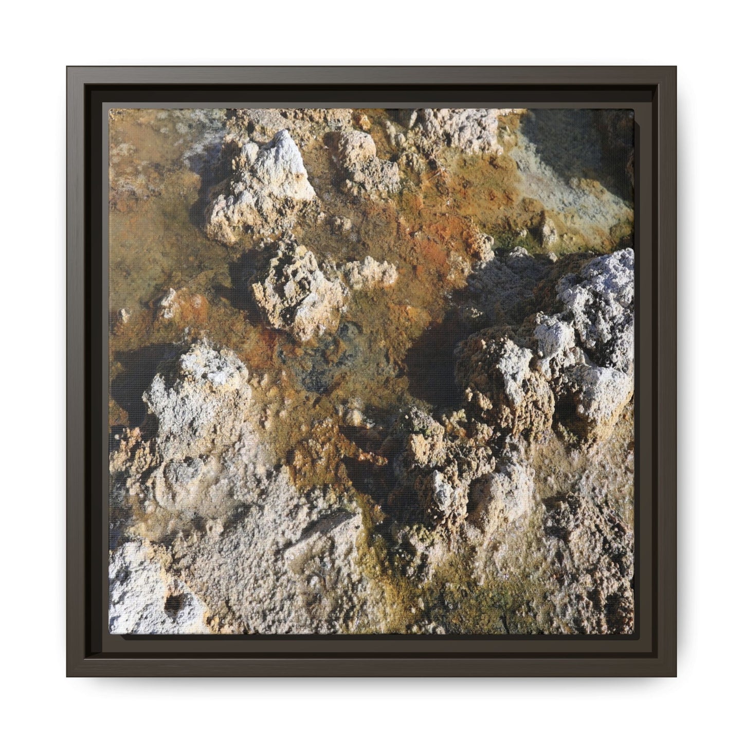 Textural Metamorphosis - Unique Stretched Canvas Wall Art