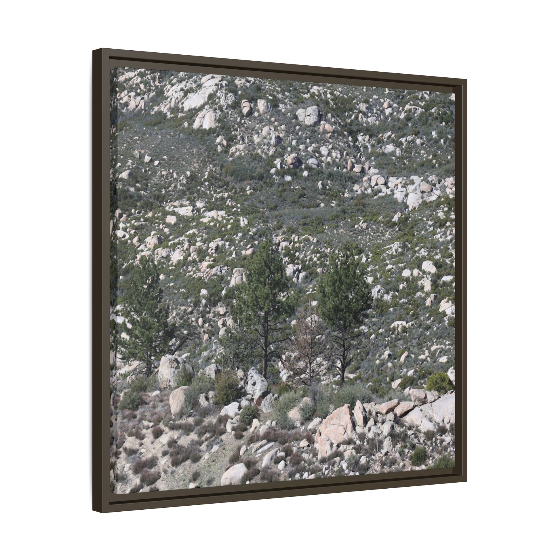Rocky Hillside with Pine Trees - Unique Stretched Canvas Wall Art - Art By Earth