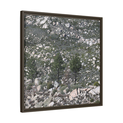 Rocky Hillside with Pine Trees - Unique Stretched Canvas Wall Art - Art By Earth