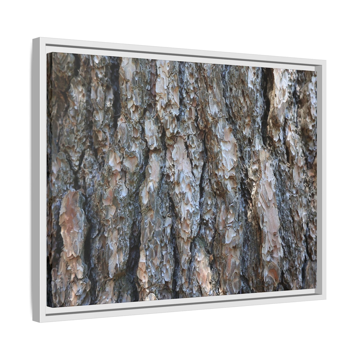 Bark Whispers - Unique Stretched Canvas Wall Art - Art By Earth