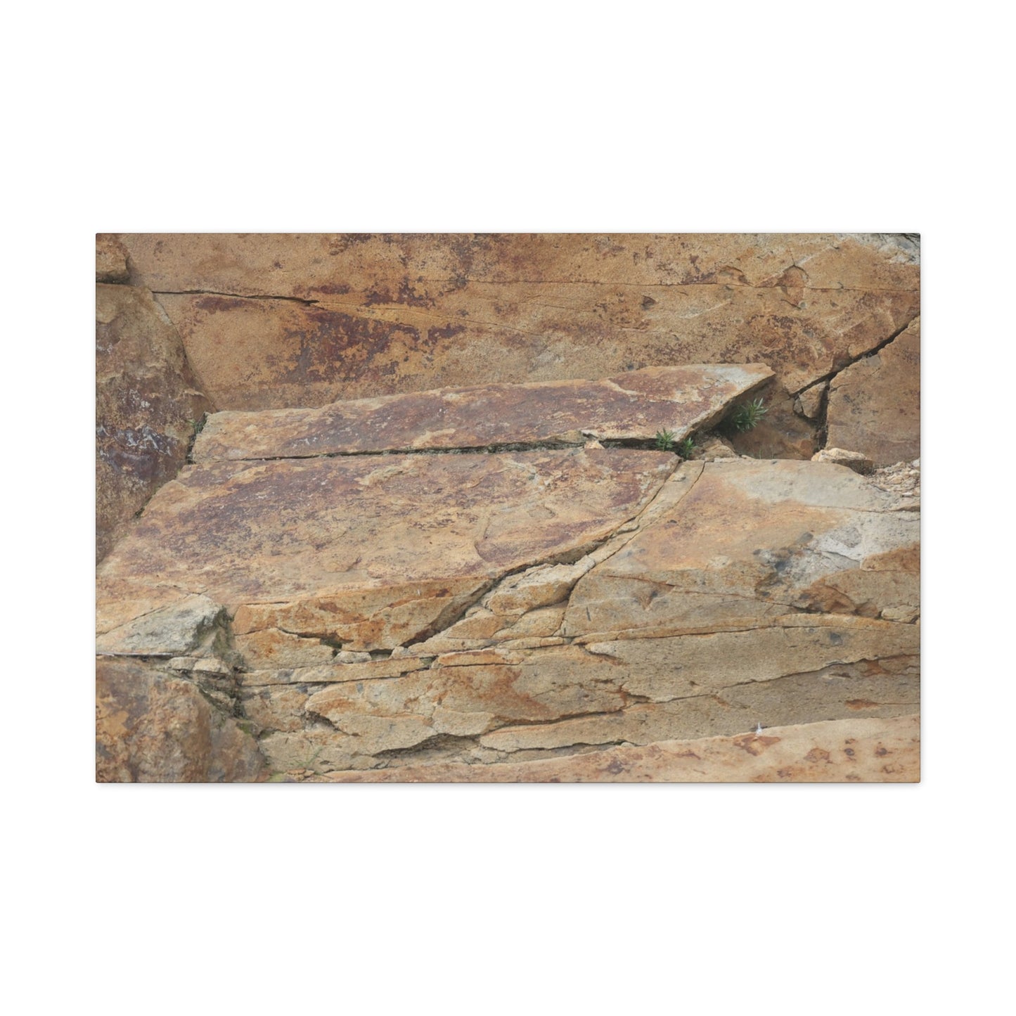 Rocky Terrain - Unique Frameless Canvas Wall Art - Art By Earth
