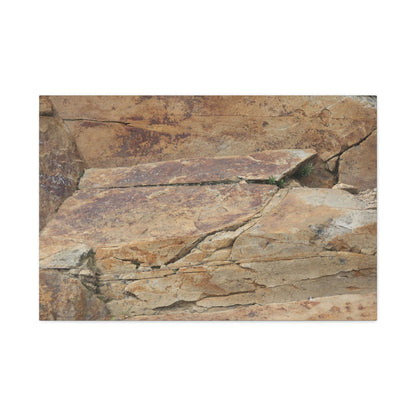 Rocky Terrain - Unique Frameless Canvas Wall Art - Art By Earth