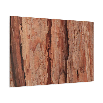 Bark Layers of Time - Unique Frameless Canvas Wall Art - Art By Earth