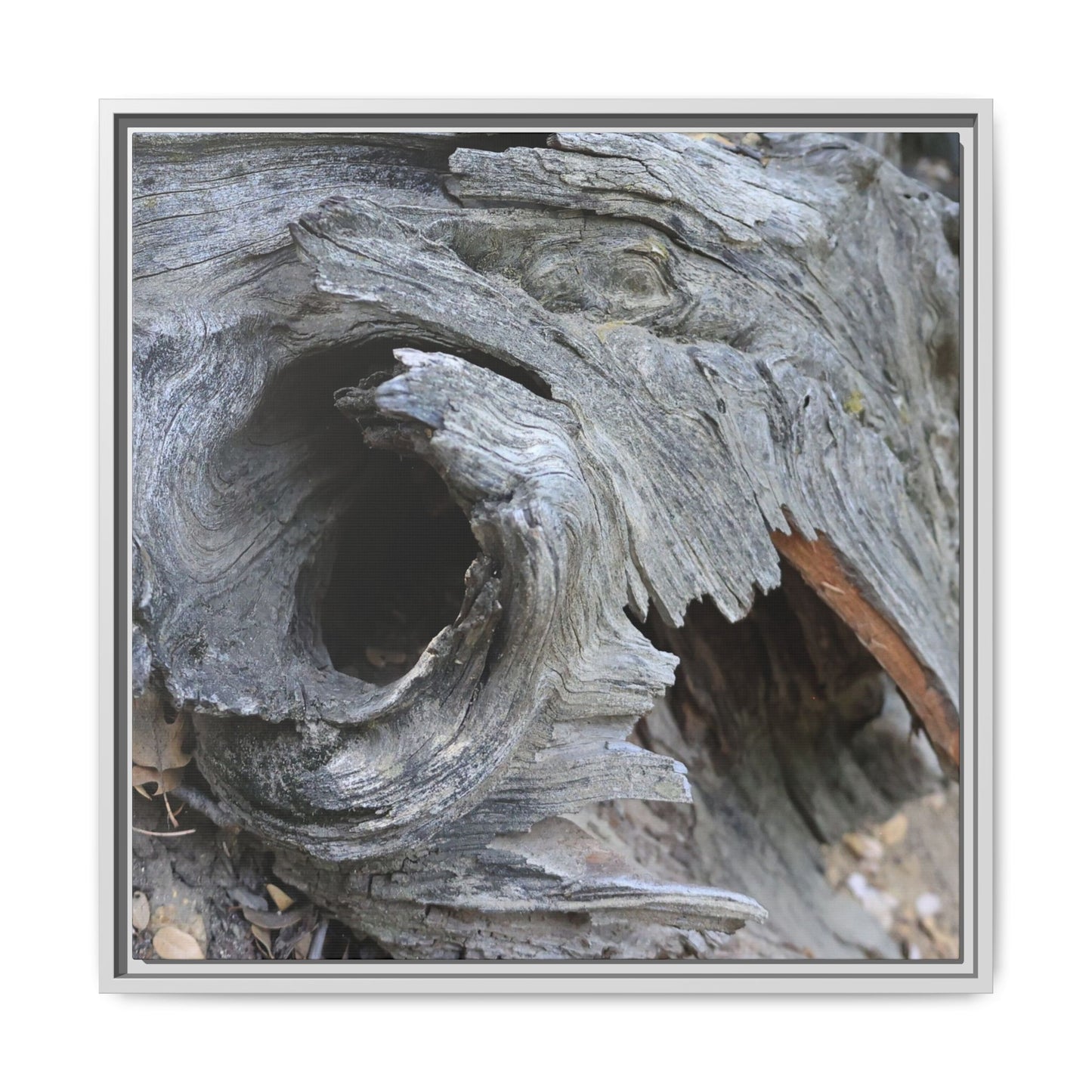 Bark's Labyrinth - Unique Stretched Canvas Wall Art - Art By Earth