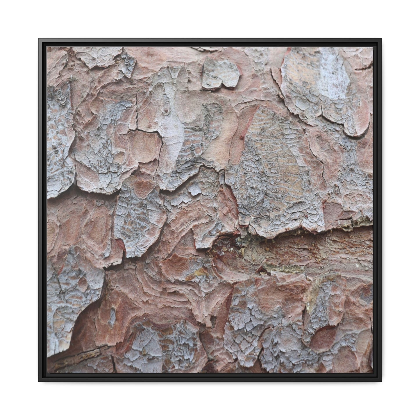 Flaking Serenity - Unique Stretched Canvas Wall Art - Art By Earth