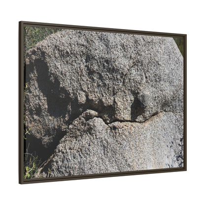 Stone Skull in Desert - Unique Stretched Canvas Wall Art