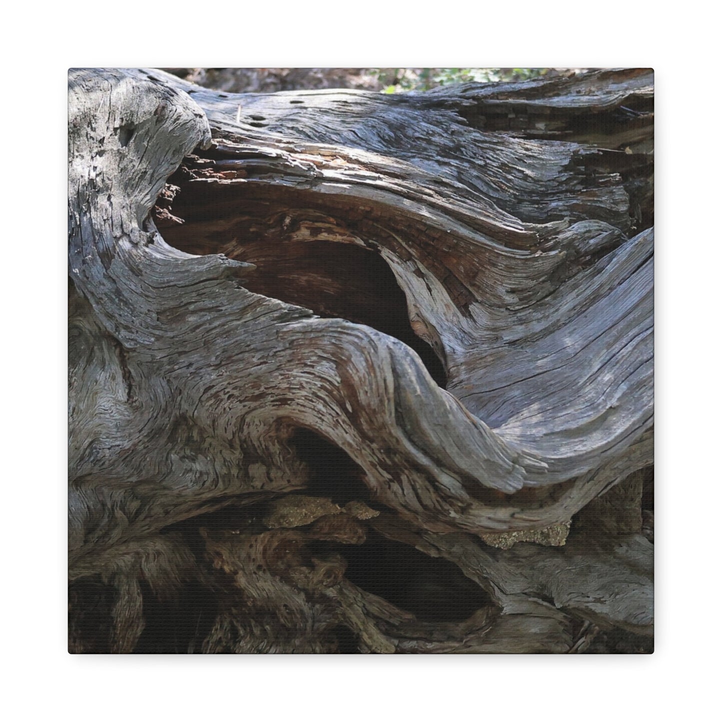 Twisted Fate - Unique Frameless Canvas Wall Art - Art By Earth