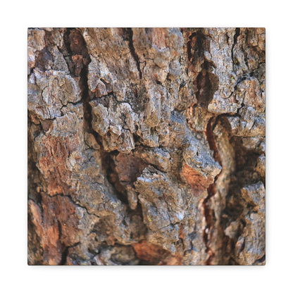 Nature's Skin - Unique Frameless Canvas Wall Art - Art By Earth