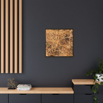Dried Grass - Unique Stretched Canvas Wall Art - Art By Earth
