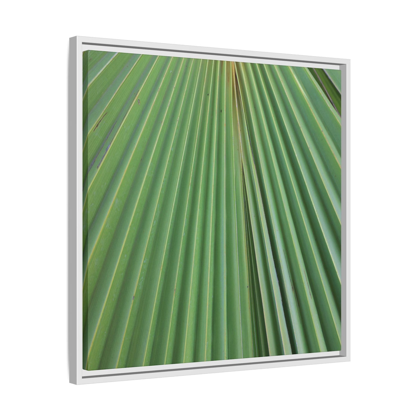 Verdant Veins - Unique Stretched Canvas Wall Art - Art By Earth