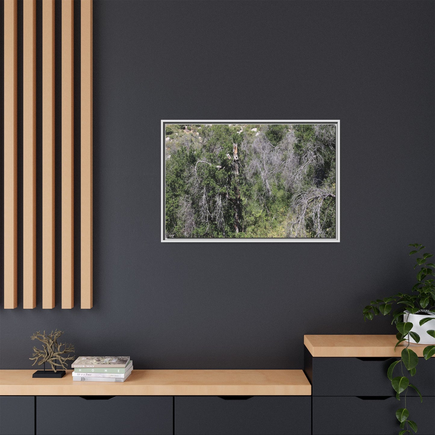 Forest Decline - Unique Stretched Canvas Wall Art