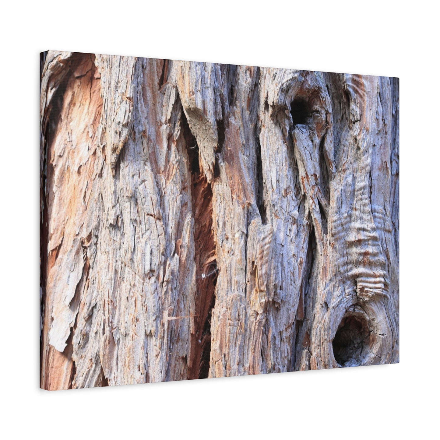 Aged Bark Surface - Unique Frameless Canvas Wall Art - Art By Earth