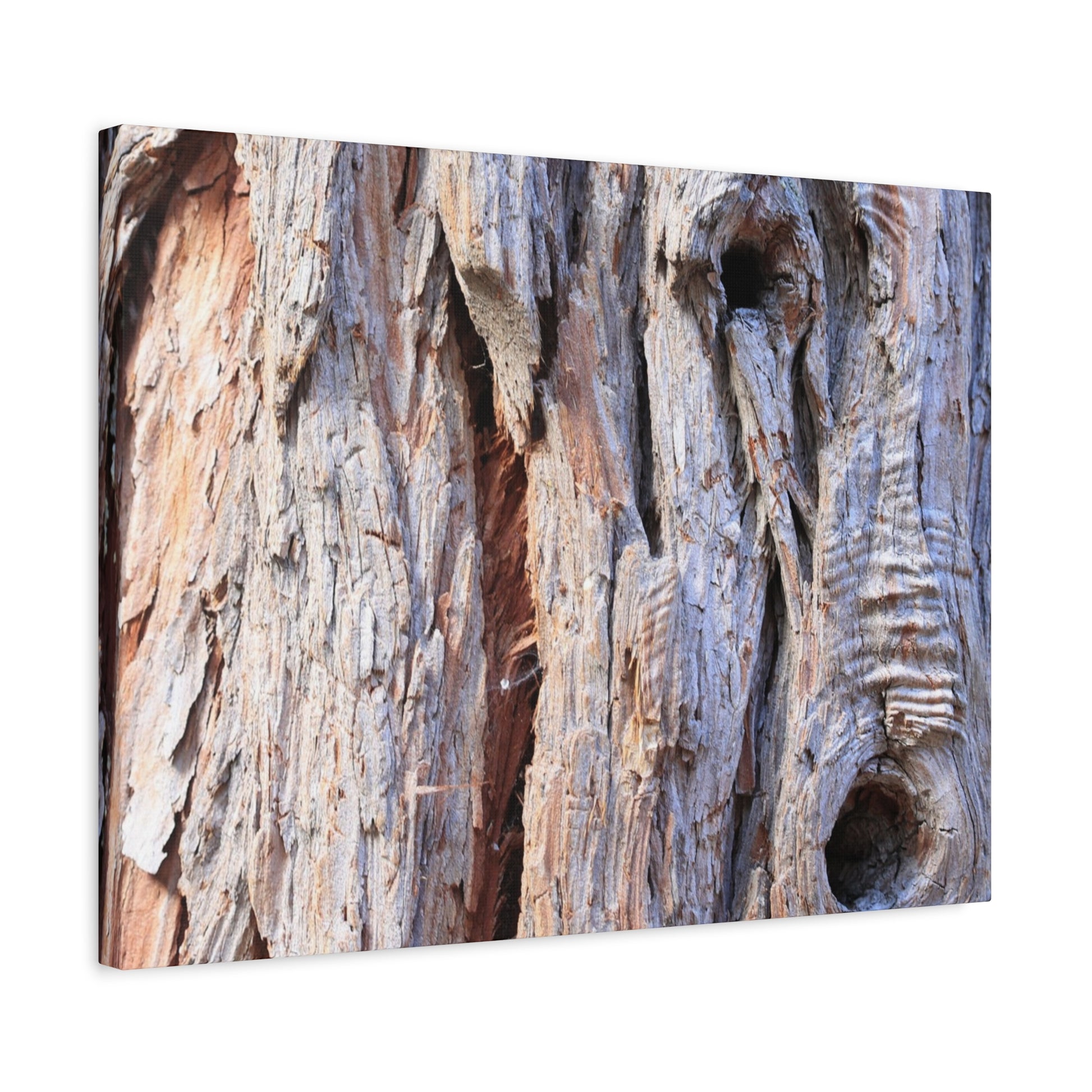 Aged Bark Surface - Unique Frameless Canvas Wall Art - Art By Earth