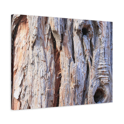 Aged Bark Surface - Unique Frameless Canvas Wall Art - Art By Earth