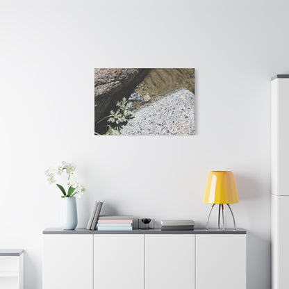 Between Stone and Sand - Unique Frameless Canvas Wall Art - Art By Earth