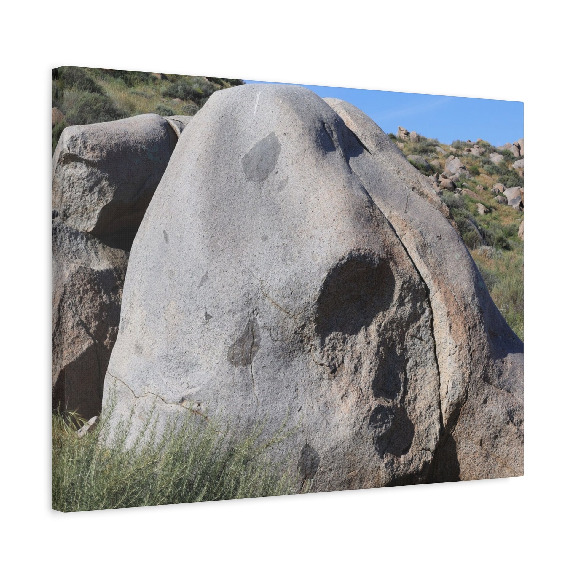 Skull Rock - Unique Frameless Canvas Wall Art - Art By Earth